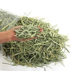 에밀리펫 슈퍼 프리미엄 손질완료 컷팅 티모시건초1kg 토끼건초 토끼사료, 1kg, 1개