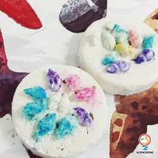 사이언스존 [조개화석 만들기 지층과 화석) 5인용] 과학실험 과학교구 과학실험키트 창의력 학습교구