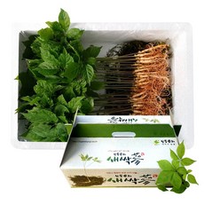 삼무루지 광양 새싹쌈 최상품 선물세트, 30개