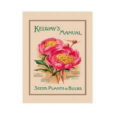 [울스터위버스] 티타올 RHS Kelway's Manual Linen, 혼합색상, 1개