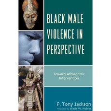 Black Male Violence in Perspective: Toward Afrocentric Intervention Paperback, Lexington Books