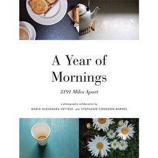 A Year of Mornings: 3191 Miles Apart:, Princeton Architectural