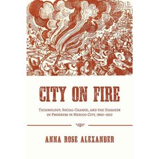 City on Fire: Technology Social Change and the Hazards of Progress in Mexico City 1860-1910, Univ of Pittsburgh Pr
