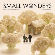 Small Wonders: Life Portrait in Miniature, Nippan Ips