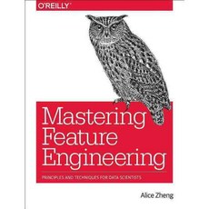 Mastering Feature Engineering: Principles and Techniques for Data Scientists, Oreilly & Associates Inc