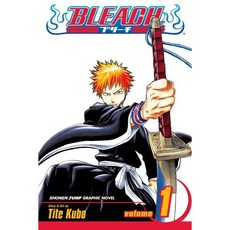 Bleach 1, Viz