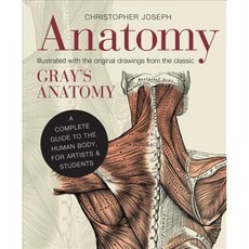 Anatomy: A Complete Guide to the Human Body for Artists & Students Hardcover, Ivy Press