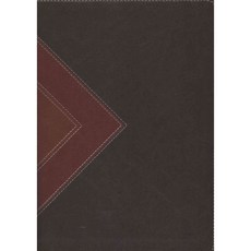 NLT Illustrated Study Bible: New Living Translation Deluxe Brown & Tan, Tyndale House Pub