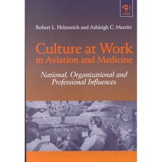 Culture at Work in Aviation and Medicine: National Organizational and Professional Influences, Ashgate Pub Ltd