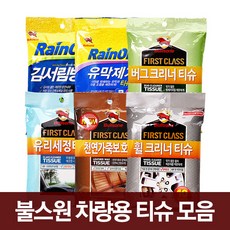 불스원 차량용 티슈모음 6종택1(유리세정), 1개, 10개