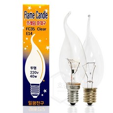 일광전구 백열 촛불구 40W 220V E14 투명, E14(투명)_전구색(노란빛), 1개