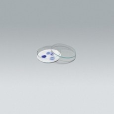 샤알레(유리)150mm