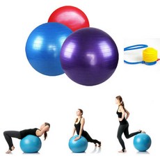 제로믹스 다이어트짐볼 65센치 지압형 민자형 +펌프증정 짐볼, 민자핑크