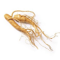 [엔피솝] 캔들향오일 21종 DIY 향수 디퓨저 비누 화장품만들기, 13.인삼F.O_10ml, 1개