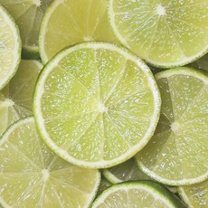 [엔피솝] 캔들향오일 21종 DIY 향수 디퓨저 비누 화장품만들기, 05.레몬라임F.O_10ml, 1개