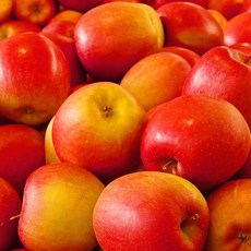 [엔피솝] 캔들향오일 21종 DIY 향수 디퓨저 비누 화장품만들기, 10.사과F.O_10ml, 1개