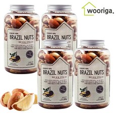 [우리가스토리] 고급용기 브라질너트(페루산), 4개, 280ml