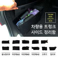 올뉴말리부 트렁크정리함 2P