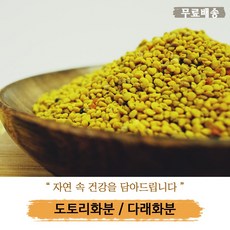 [무료배송][창녕꿀벌농장] 화분 꽃가루, 500g, 1개