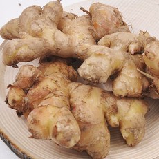 충남 서산 전영운님의 토종생강, 1개, 1kg