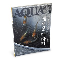 [자연과 사람] 아쿠아라이프 2017년 11월호