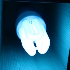 두영 삼파장 색구 11W E26 적색 청색 EL컬러램프, 파란색, 1개