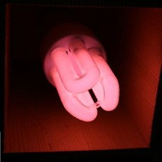 두영 삼파장 색구 11W E26 적색 청색 EL컬러램프, 빨간색, 1개