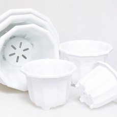 갑조네 플라스틱화분 12각화분 화분 분갈이