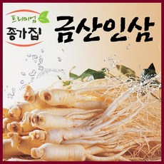 금산인삼 국산 인삼 수삼 세척가정용난발파삼, 1개, 세척가정용난발파삼600g