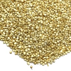 천지가약초 화이트 퀴노아, 1개