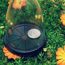 [비앤비매직] 코인쓰루글라스, 1개