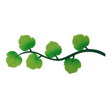 피플스파티 펠트꾸미기 나뭇잎 과일, 담쟁이줄기