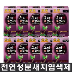 오디코디 오디코디앤 파우치형 헤어컬러, 자연갈색, 10개