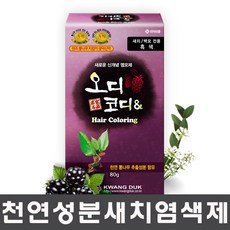 오디코디 오디코디앤 파우치형 헤어컬러, 진한갈색, 1개