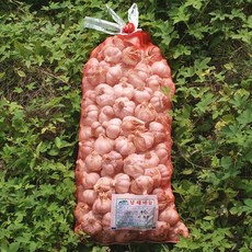 헷마늘 남해마늘 저장용, 1개, 10kg(상품)