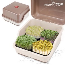 하은맘 콩나물 새싹재배기 아이보리, 1개