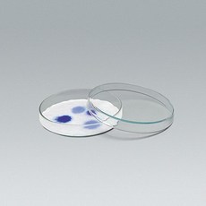 사이언스피아 (PIA)페트리접시(샬레 유리)120mm