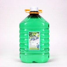 지리산 고로쇠 수액물, 1개, 4.5L