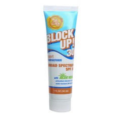 Fruit Of The Earth 블록 업 스포츠 선스크린 알로에 베라 포함 Spf 30 178ml, 30ml, 1개