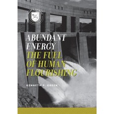 Abundant Energy: The Fuel of Human Flourishing Paperback, American Enterprise Institute Press