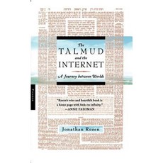 The Talmud and the Internet: A Journey Between Worlds Paperback, Picador USA