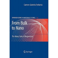 From Bulk to Nano: The Many Sides of Magnetism Paperback, Springer