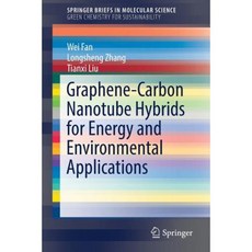 Graphene-Carbon Nanotube Hybrids for Energy and Environmental Applications Paperback, Springer