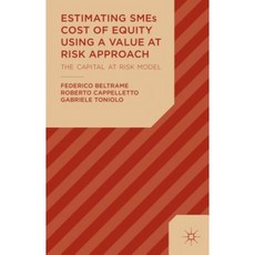 Estimating SMEs Cost of Equity Using a Value at Risk Approach: The Capital at Risk Model Hardcover, Palgrave MacMillan
