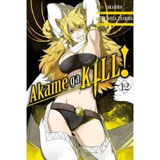 Akame Ga Kill! Vol. 12 Paperback, Yen Press