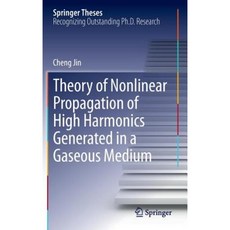 Theory of Nonlinear Propagation of High Harmonics Generated in a Gaseous Medium Hardcover, Springer