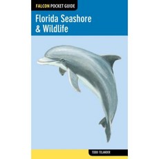 Falcon Pocket Guide: Florida Seashore & Wildlife Paperback, FalconGuide