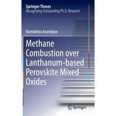 Methane Combustion Over Lanthanum-Based Perovskite Mixed Oxides Hardcover, Springer