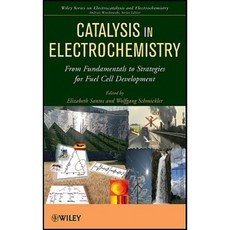 Catalysis in Electrochemistry: From Fundamental to Strategies for Fuel Cell Development Hardcover, Wiley