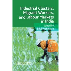 Industrial Clusters Migrant Workers and Labour Markets in India Paperback, Palgrave MacMillan